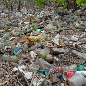 Aumentar sanciones por tirar basura, proponen