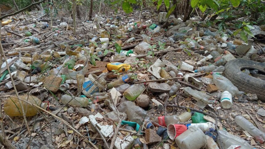 Aumentar sanciones por tirar basura, proponen