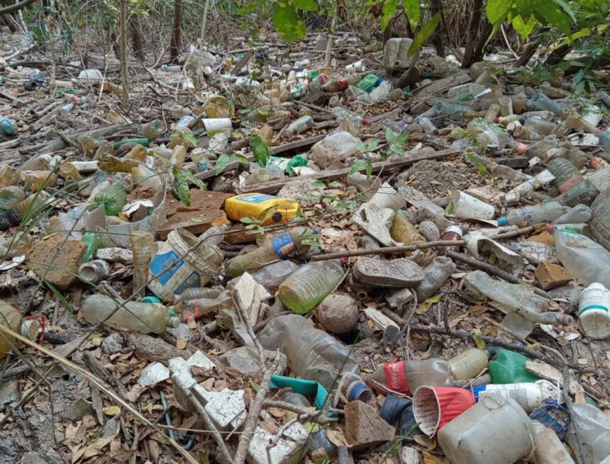FB_IMG_1749663818955 Aumentar sanciones por tirar basura, proponen