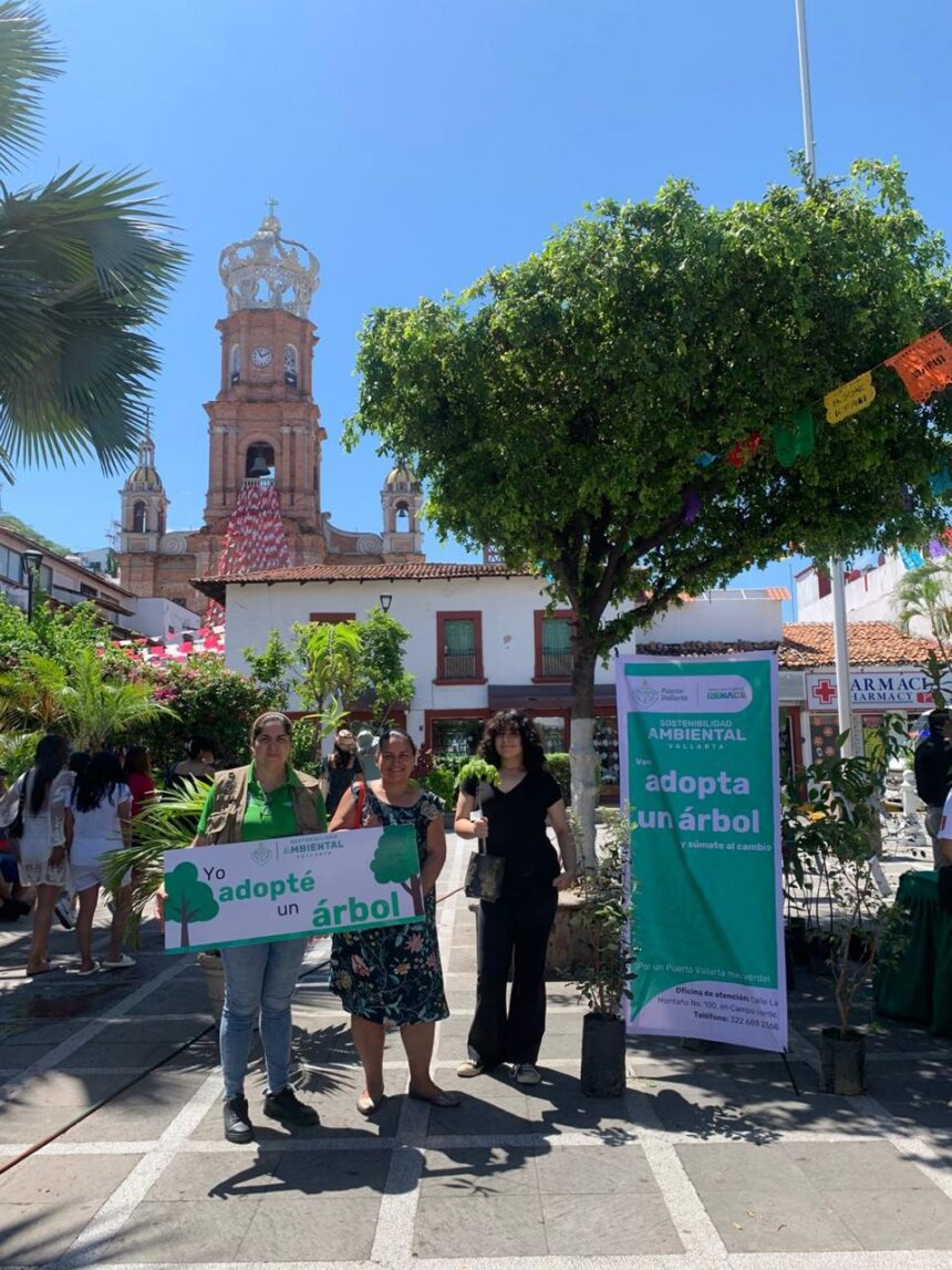 La ciudad se pone verde: 45 árboles adoptados en la Plaza de Armas