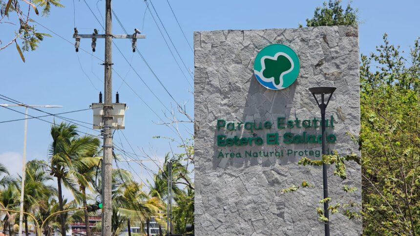 Estero El Salado se alista para reactivar recorridos en lancha