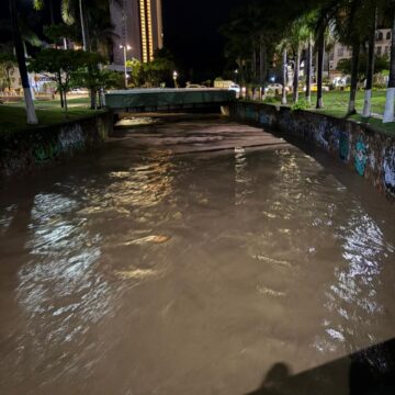 Vehículos arrastrados, árboles y postes caídos, el saldo de la lluvia del domingo