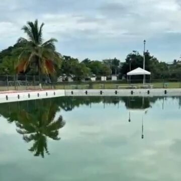 Confirma SSJ presencia de mosco transmisor de Dengue en alberca de La Bobadilla