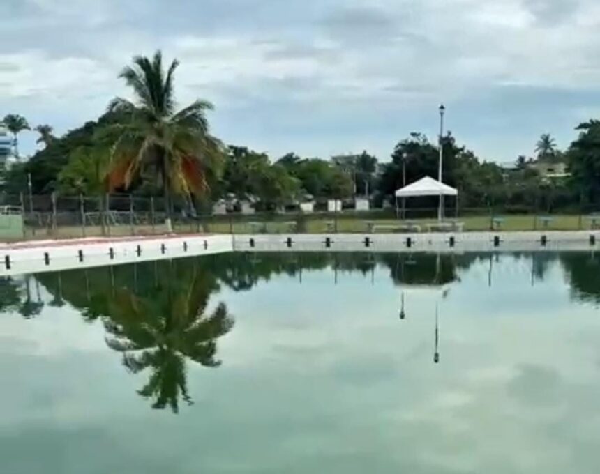 Confirma SSJ presencia de mosco transmisor de Dengue en alberca de La Bobadilla