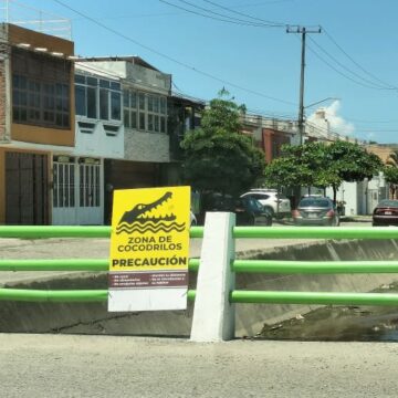 Crecimiento urbano reduce hábitat de cocodrilos