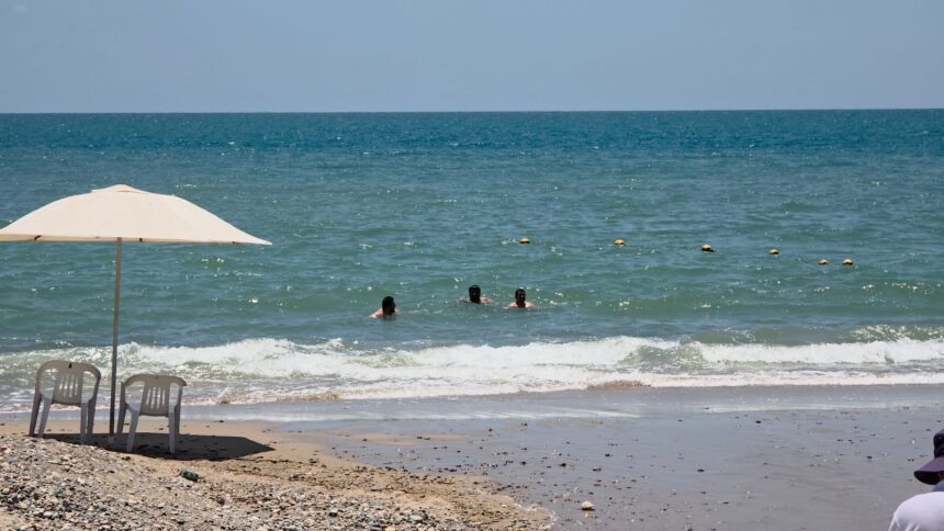 IMG-20250717-WA0107 Turistas nadan en playas contaminadas con heces fecales en Vallarta