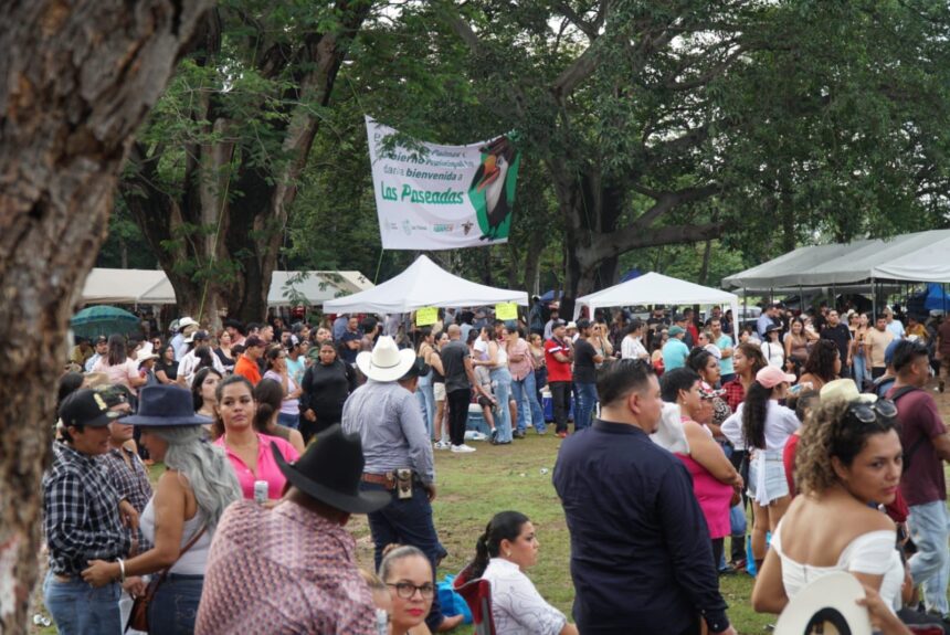 Más de 15 mil asistentes disfrutaron de las paseadas de Las Palmas