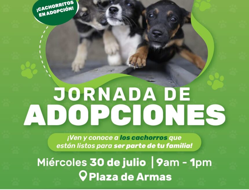 IMG-20250728-WA0214 ¡Adopta y transforma una vida! Jornada en Plaza de Armas