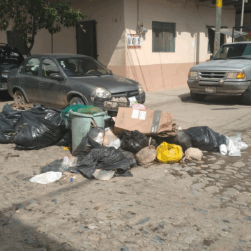 Puerto Vallarta contará con Guardia Ambiental