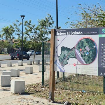 Fondo Verde ha beneficiado al estero El Salado y podría extenderse a otras zonas de Vallarta