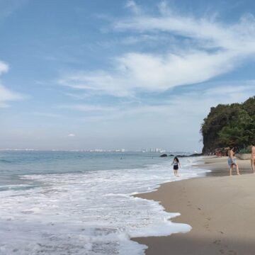 Hoy. Playas de Vallarta, en condiciones óptimas, a excepción de tres