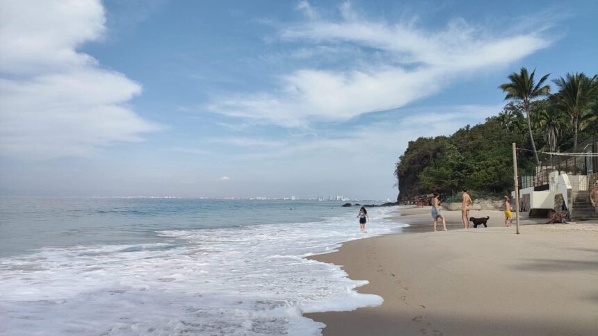 Hoy. Playas de Vallarta, en condiciones óptimas, a excepción de tres