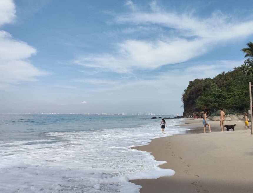 Hoy. Playas de Vallarta, en condiciones óptimas, a excepción de tres
