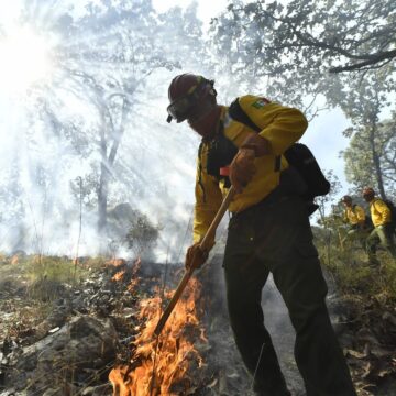 Advierten condiciones propicias para incendios forestales en Puerto Vallarta