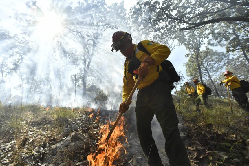Advierten condiciones propicias para incendios forestales en Puerto Vallarta