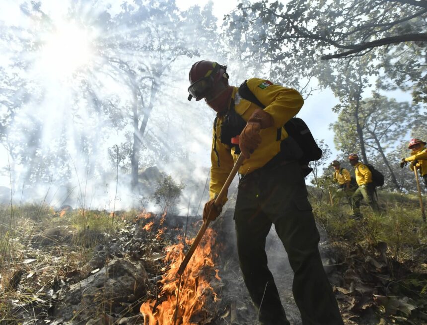 Advierten condiciones propicias para incendios forestales en Puerto Vallarta