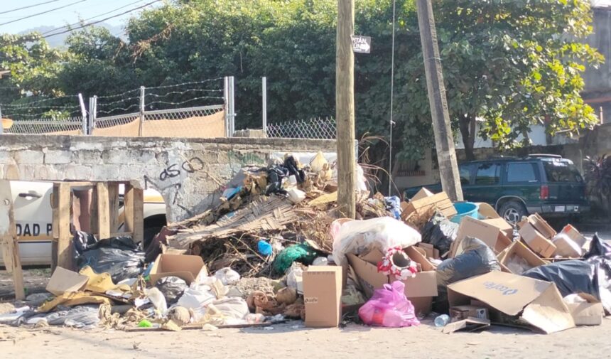 Gobierno de Vallarta adeuda más de 110 mdp a Red Ambiental por recolección de basura