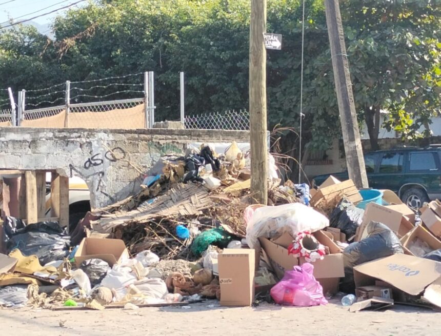 basura Gobierno de Vallarta adeuda más de 110 mdp a Red Ambiental por recolección de basura
