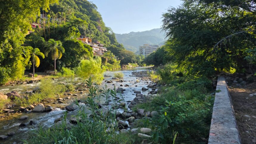La zona de Vallarta enfrenta posible estrés hídrico y riesgo de reducción en ríos de la región