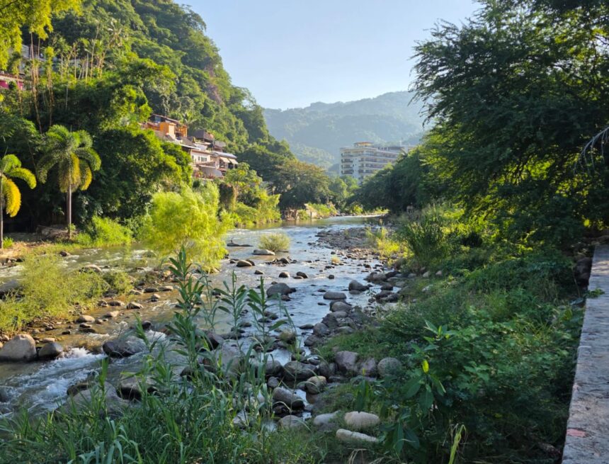rio-arroyo-cuale La zona de Vallarta enfrenta posible estrés hídrico y riesgo de reducción en ríos de la región