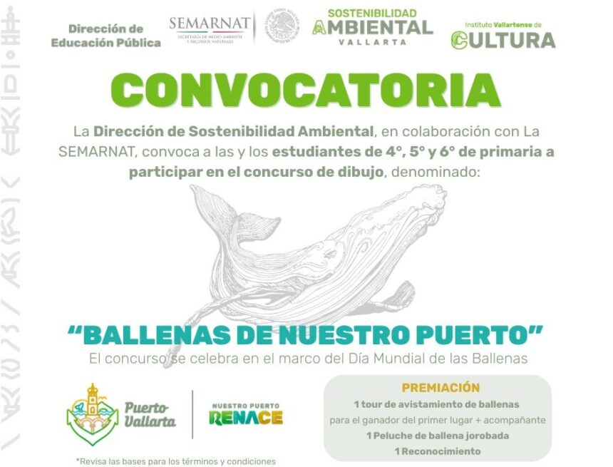 Estudiantes de Puerto Vallarta mostrarán su talento en el concurso “Ballenas de Nuestro Puerto”