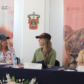 Pese a hurto, UdeG y Profepa impulsan estrategia para proteger hábitat de la tortuga Casquito Vallarta