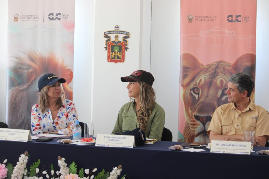Pese a hurto, UdeG y Profepa impulsan estrategia para proteger hábitat de la tortuga Casquito Vallarta