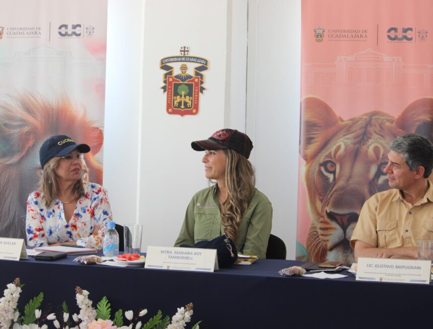 Pese a hurto, UdeG y Profepa impulsan estrategia para proteger hábitat de la tortuga Casquito Vallarta