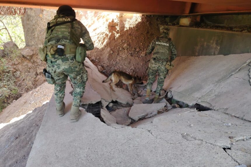 Realizan operativos de búsqueda de explosivos en puentes de Jalisco