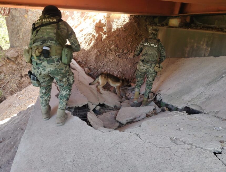 Realizan operativos de búsqueda de explosivos en puentes de Jalisco