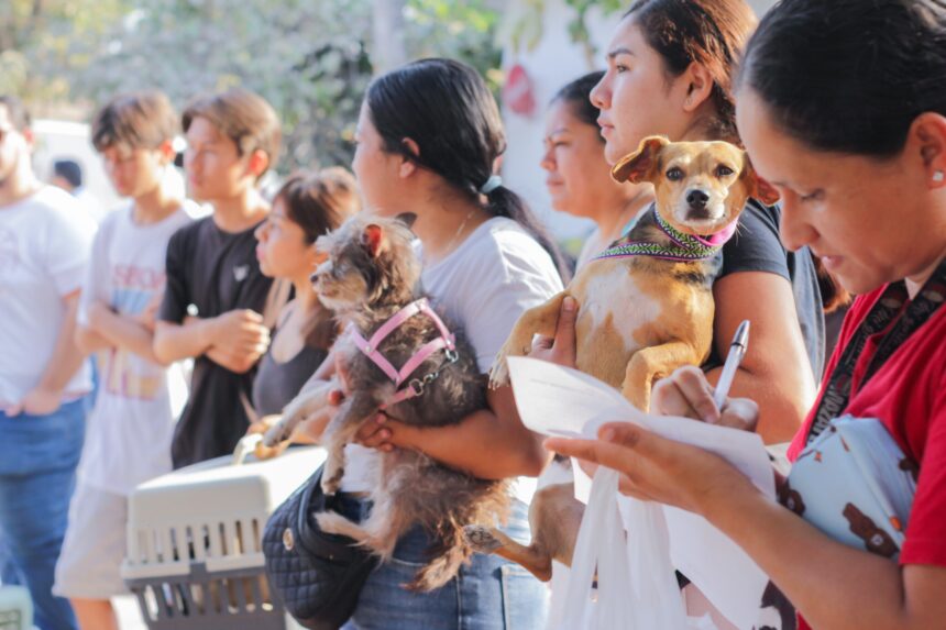 IMG-20260420-WA0187 Llega la Unidad Móvil Veterinaria a la colonia Cristóbal Colón