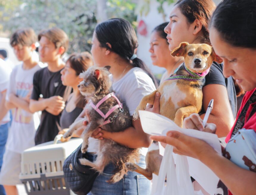 IMG-20260420-WA0187 Llega la Unidad Móvil Veterinaria a la colonia Cristóbal Colón
