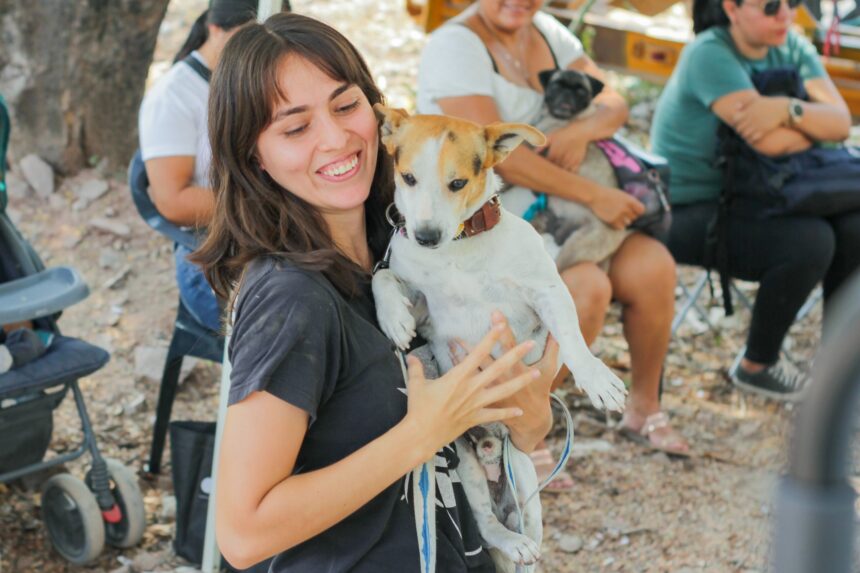 Habrá esterilizaciones gratuitas en mayo en Puerto Vallarta