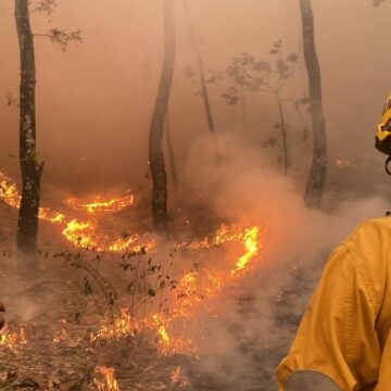 IMG-20260514-WA0470 Reportan reducción de 30% en incendios forestales