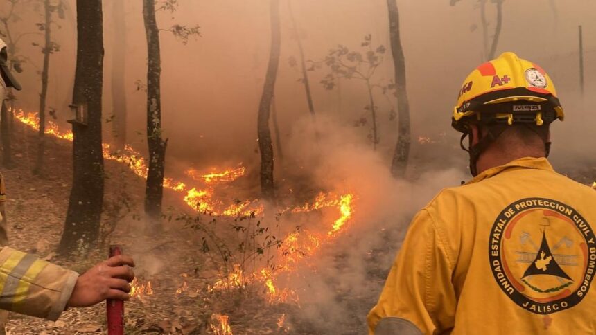 IMG-20260514-WA0470 Reportan reducción de 30% en incendios forestales