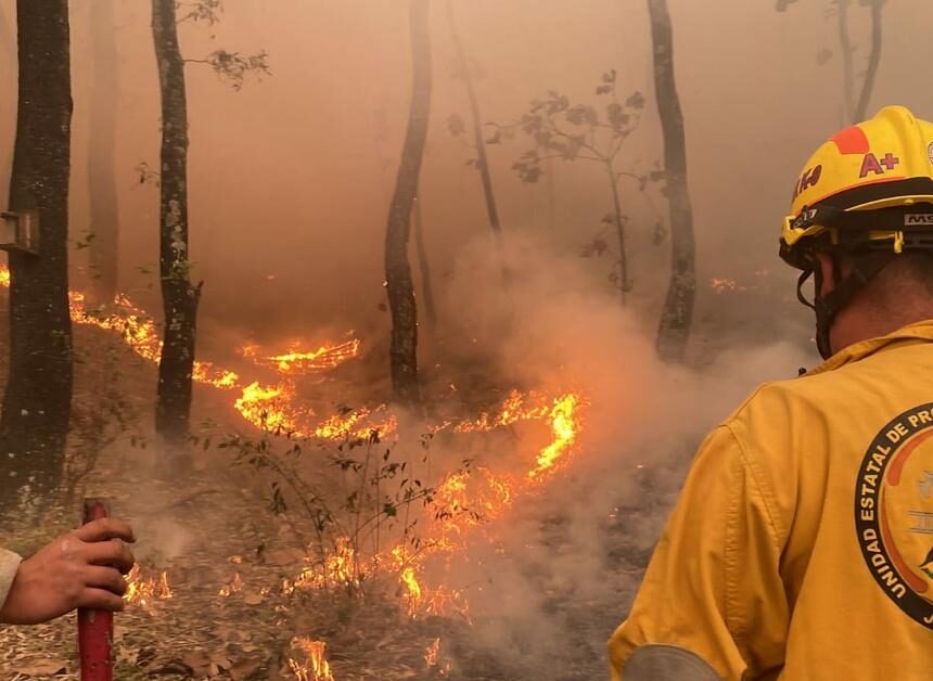 Reportan reducción de 30% en incendios forestales