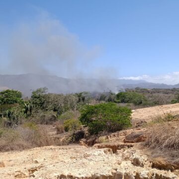 Sofocan incendio de neumáticos en vertedero El Gavilán