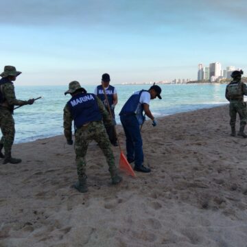 Personal Naval realiza limpieza de playas y costas en Puerto Vallarta