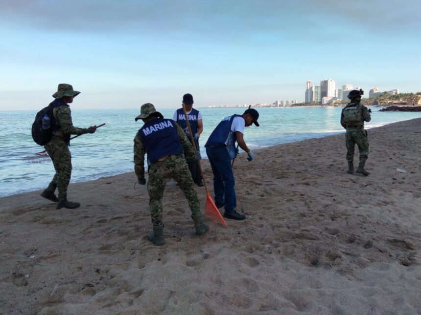 Personal Naval realiza limpieza de playas y costas en Puerto Vallarta