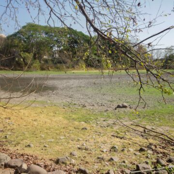 IMG-20260601-WA0221 Descartan crisis ambiental en la Laguna del Coapinole
