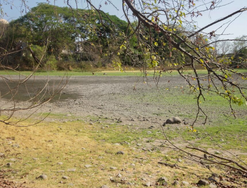 Descartan crisis ambiental en la Laguna del Coapinole