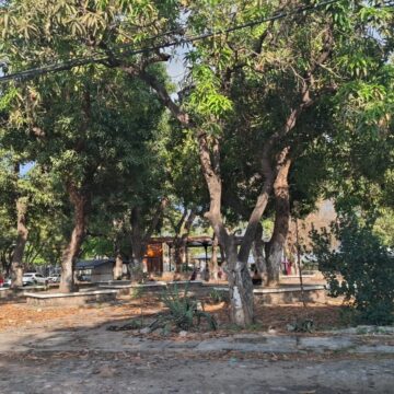 Intervendrán de manera integra parque Los Mangos
