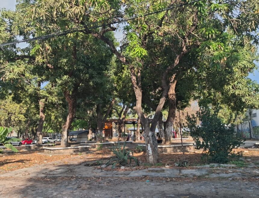 Intervendrán de manera integra parque Los Mangos