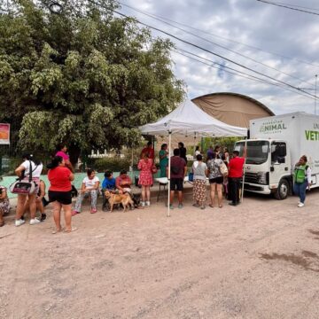 Superan las mil esterilizaciones gratuitas en Puerto Vallarta