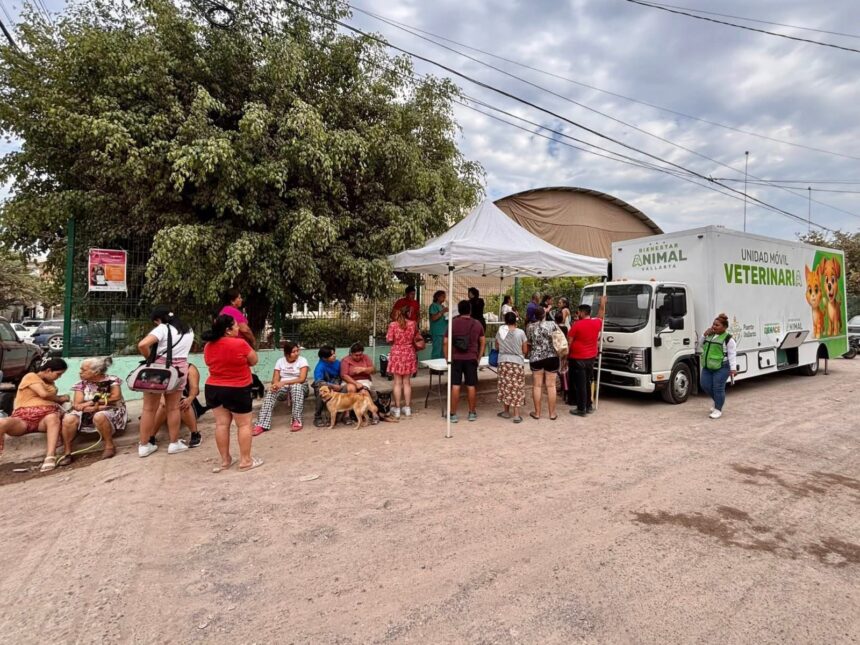 Superan las mil esterilizaciones gratuitas en Puerto Vallarta
