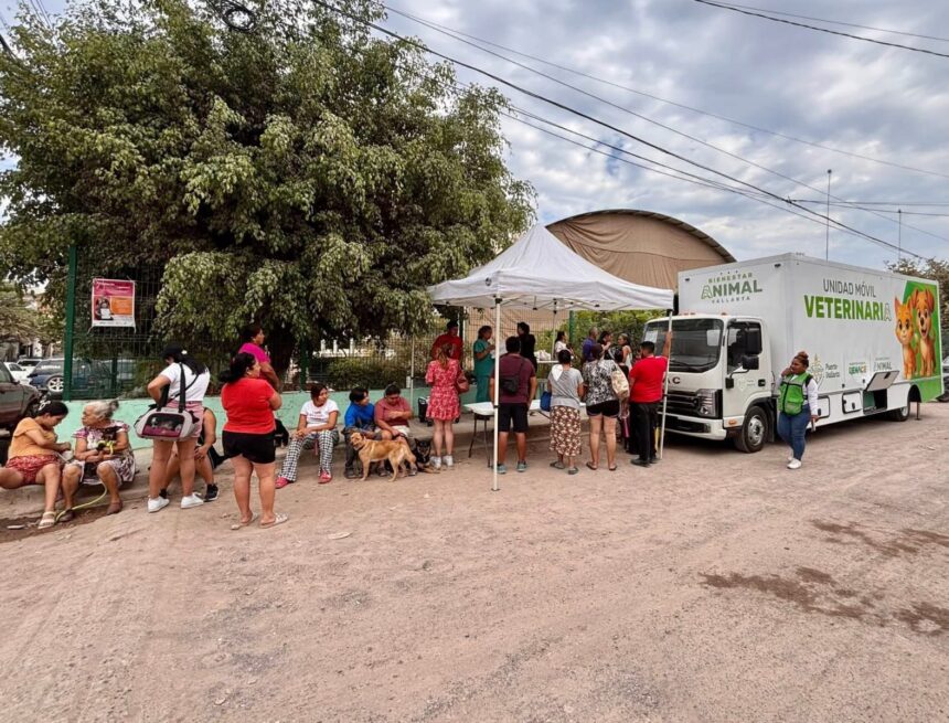 IMG-20260625-WA0086 Superan las mil esterilizaciones gratuitas en Puerto Vallarta
