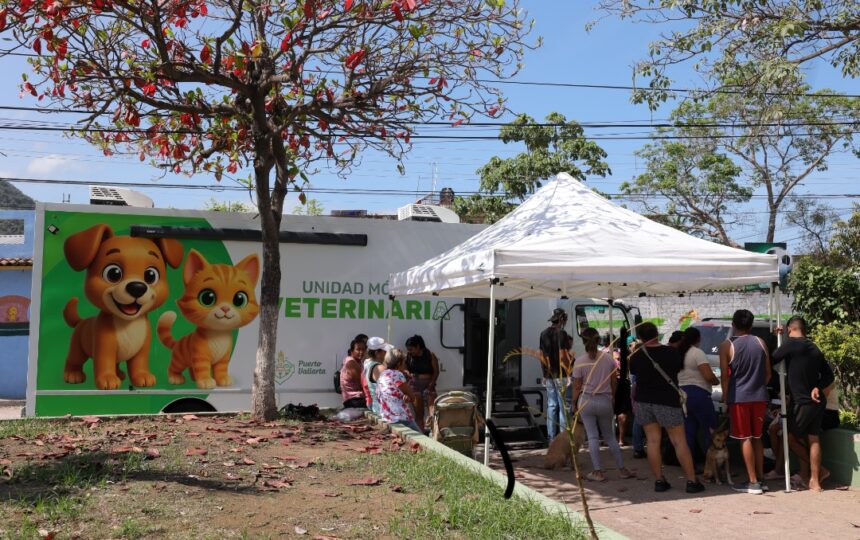 Llega la Unidad Móvil Veterinaria a San Esteban con esterilizaciones gratuitas