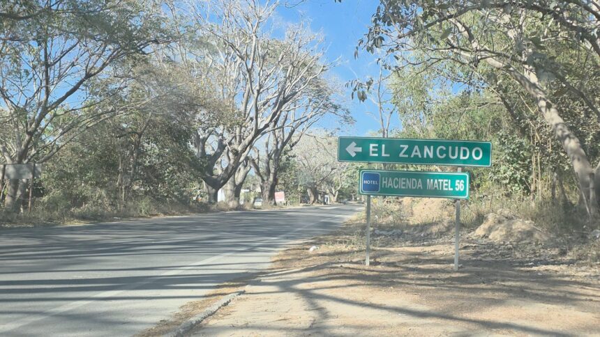 Fiscalía de Jalisco busca a tres jóvenes desaparecidos en Puerto Vallarta