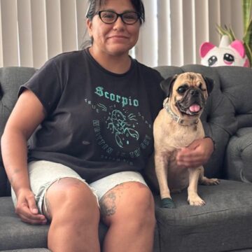 Kato, el pug, qué encontró un hogar gracias a Bienestar Animal