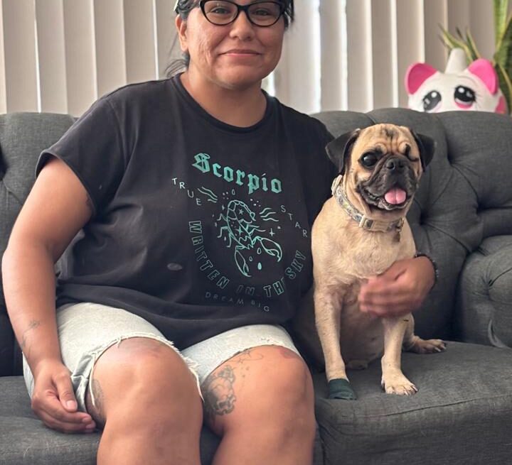 Kato, el pug, qué encontró un hogar gracias a Bienestar Animal
